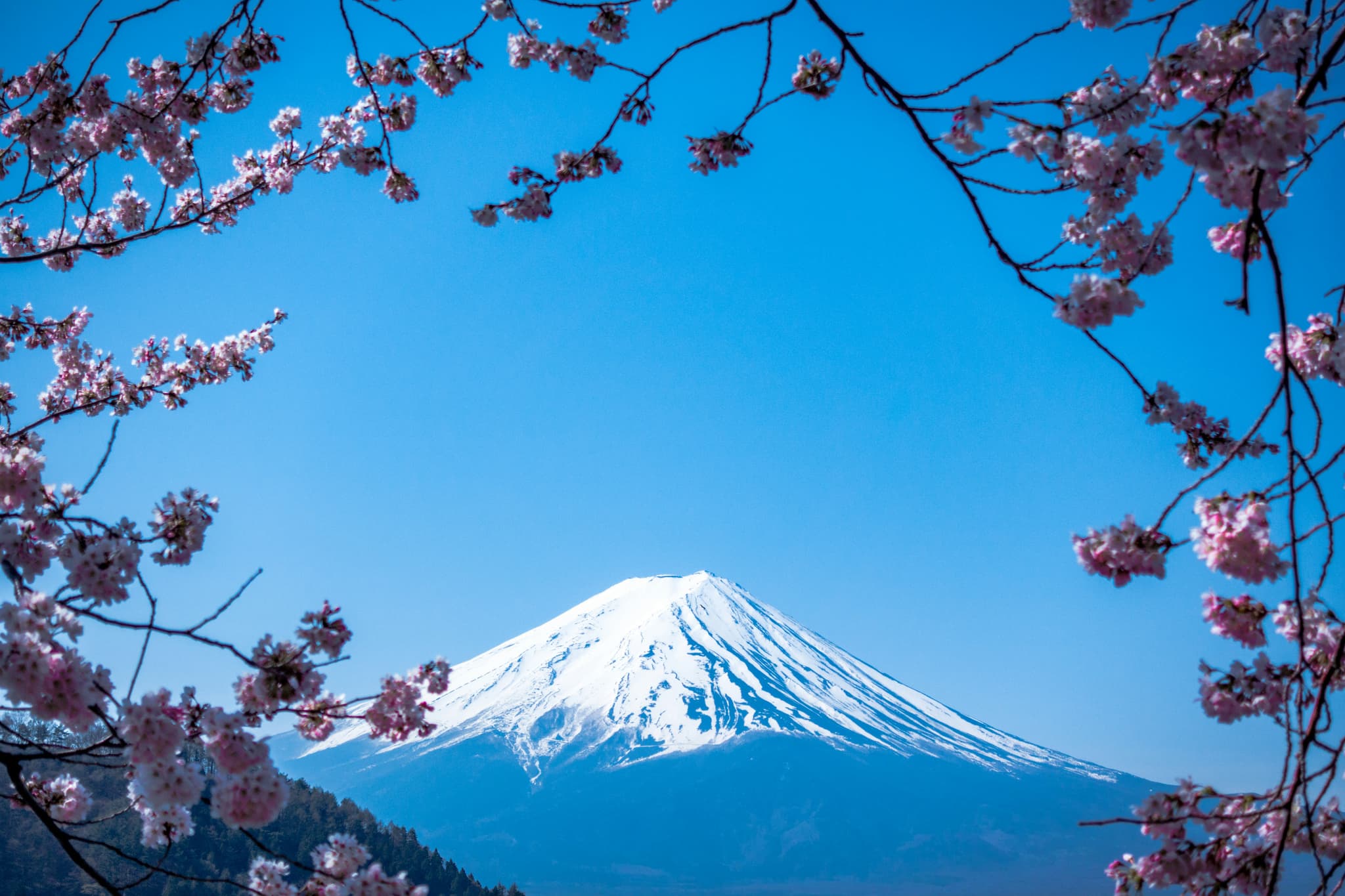 Explore Asia